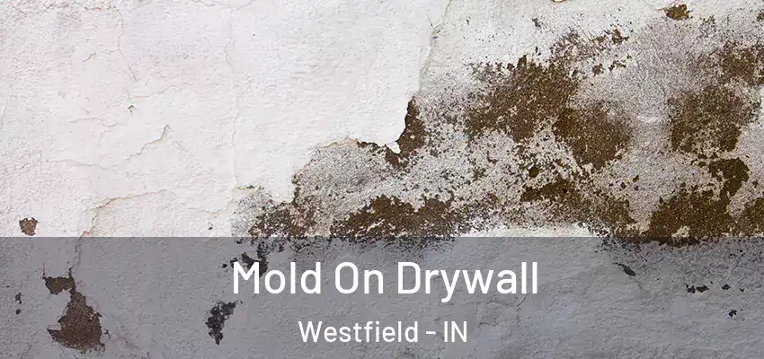  Mold On Drywall Westfield - IN