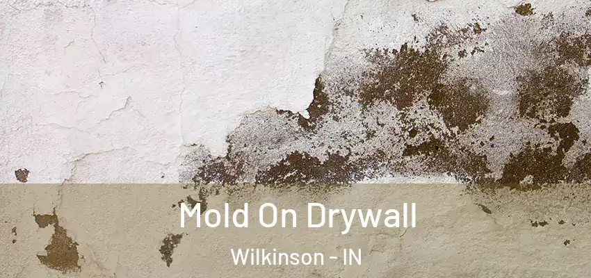  Mold On Drywall Wilkinson - IN