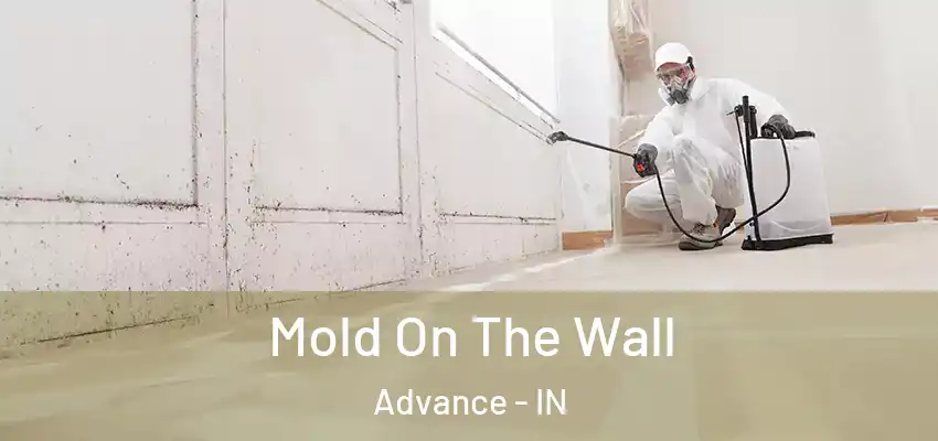  Mold On The Wall Advance - IN
