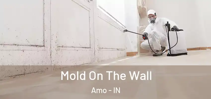  Mold On The Wall Amo - IN