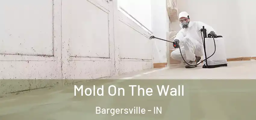  Mold On The Wall Bargersville - IN