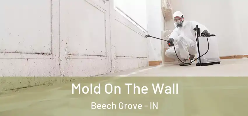  Mold On The Wall Beech Grove - IN