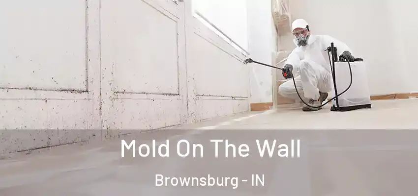  Mold On The Wall Brownsburg - IN