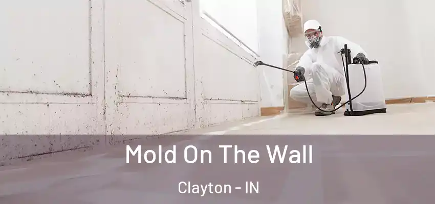 Mold On The Wall Clayton - IN