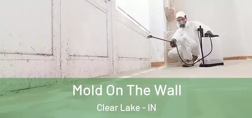  Mold On The Wall Clear Lake - IN