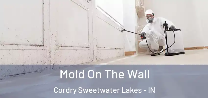 Mold On The Wall Cordry Sweetwater Lakes - IN