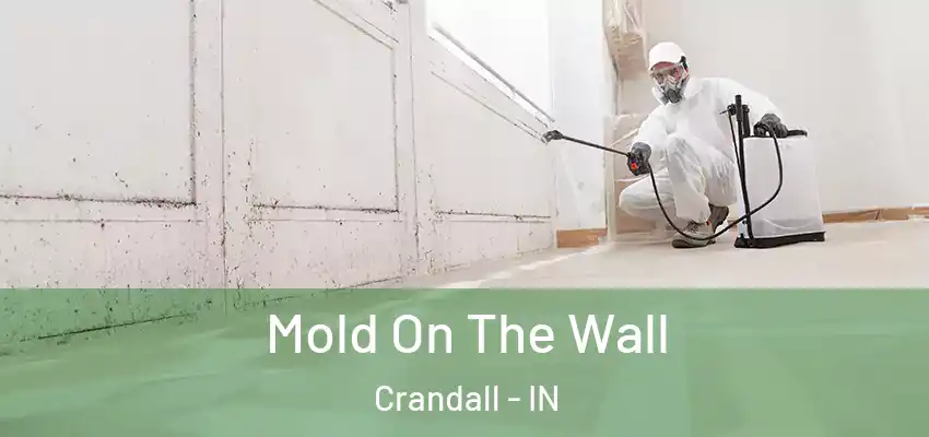 Mold On The Wall Crandall - IN