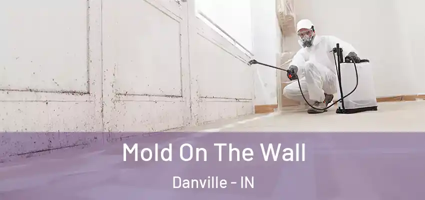 Mold On The Wall Danville - IN