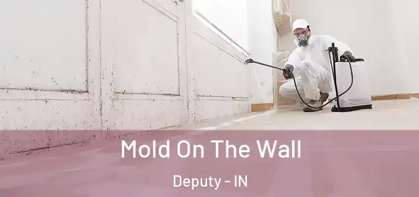  Mold On The Wall Deputy - IN