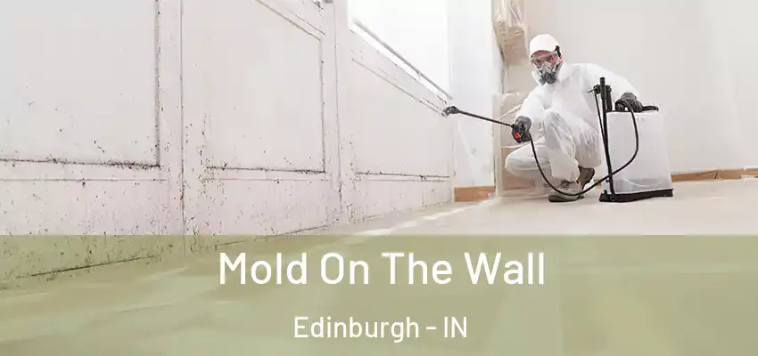  Mold On The Wall Edinburgh - IN