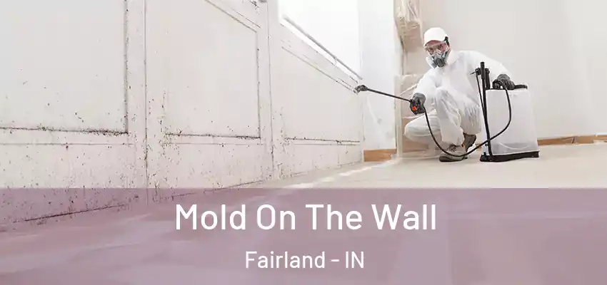 Mold On The Wall Fairland - IN