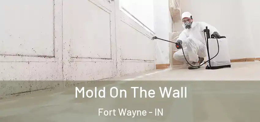  Mold On The Wall Fort Wayne - IN
