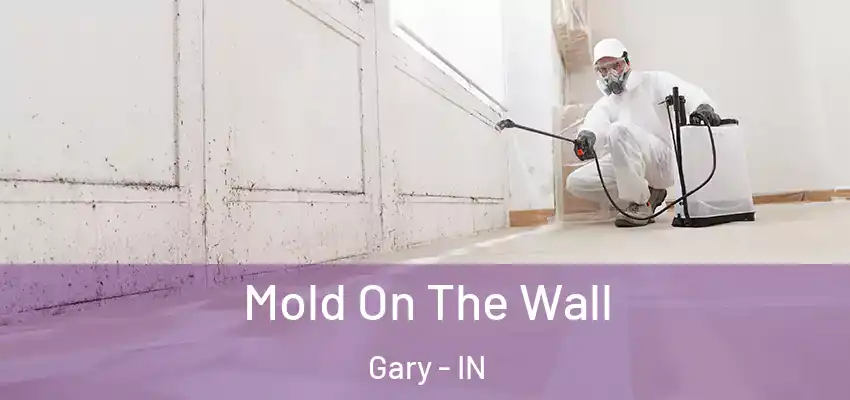  Mold On The Wall Gary - IN