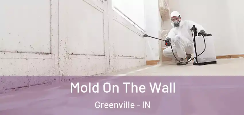  Mold On The Wall Greenville - IN