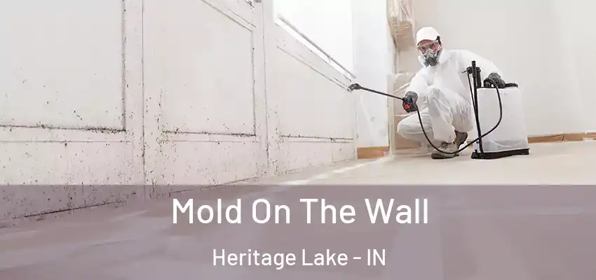  Mold On The Wall Heritage Lake - IN