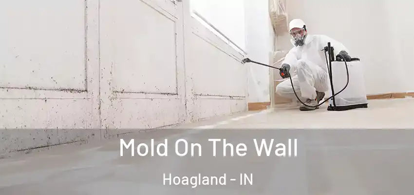  Mold On The Wall Hoagland - IN