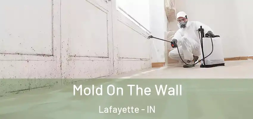  Mold On The Wall Lafayette - IN