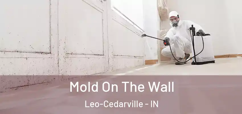  Mold On The Wall Leo-Cedarville - IN
