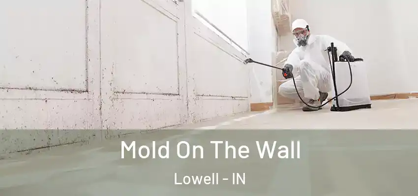  Mold On The Wall Lowell - IN