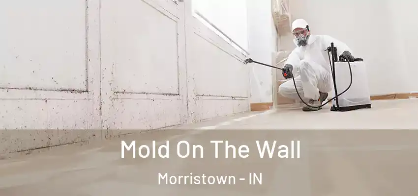  Mold On The Wall Morristown - IN