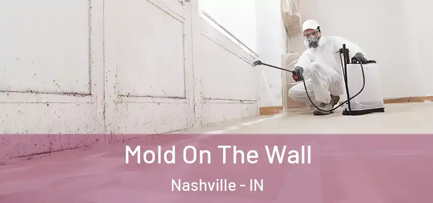  Mold On The Wall Nashville - IN