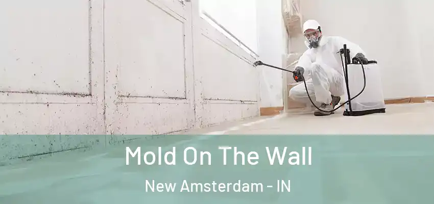  Mold On The Wall New Amsterdam - IN
