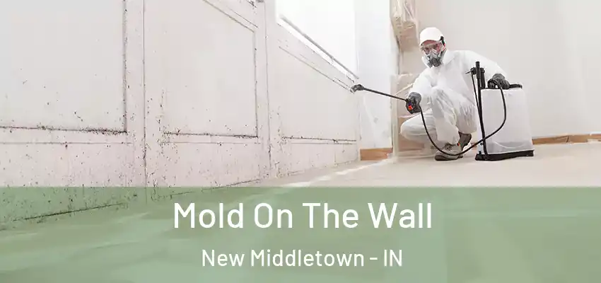  Mold On The Wall New Middletown - IN
