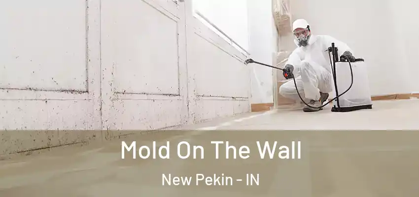  Mold On The Wall New Pekin - IN