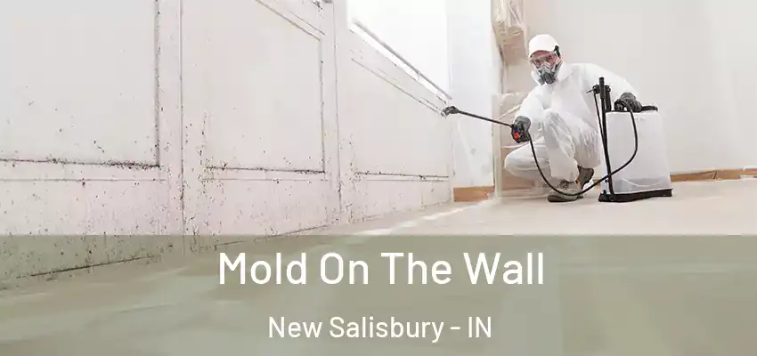  Mold On The Wall New Salisbury - IN