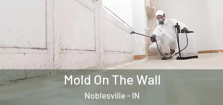  Mold On The Wall Noblesville - IN
