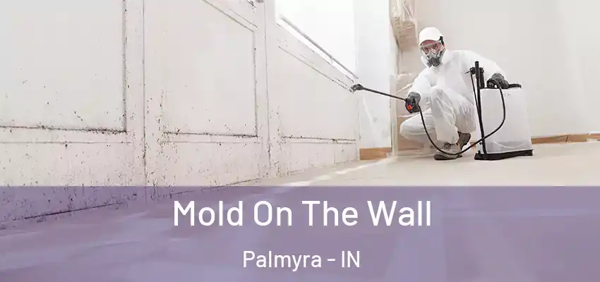  Mold On The Wall Palmyra - IN
