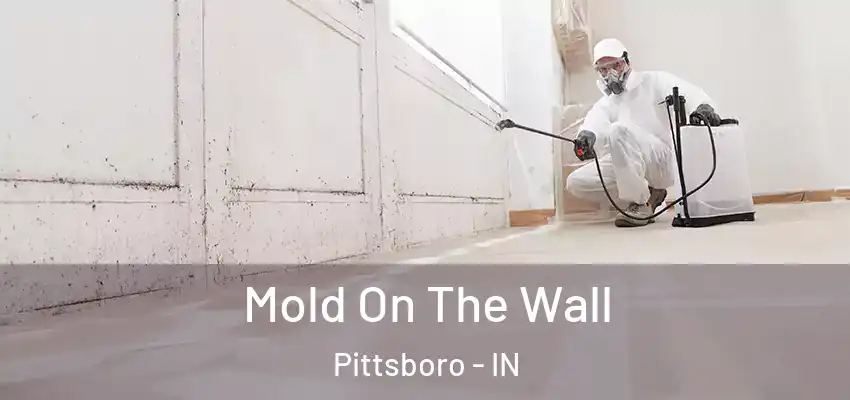 Mold On The Wall Pittsboro - IN