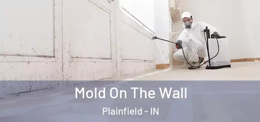  Mold On The Wall Plainfield - IN