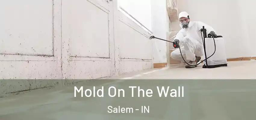 Mold On The Wall Salem - IN