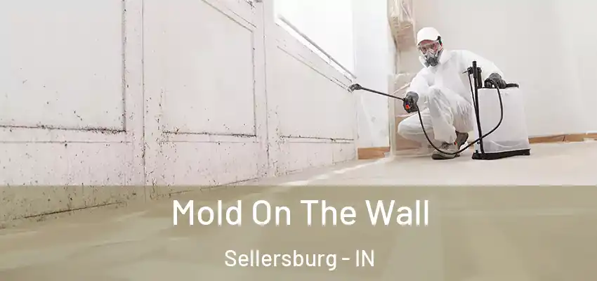  Mold On The Wall Sellersburg - IN