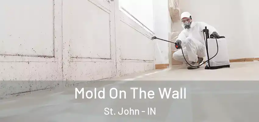  Mold On The Wall St. John - IN