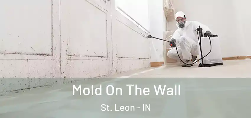  Mold On The Wall St. Leon - IN