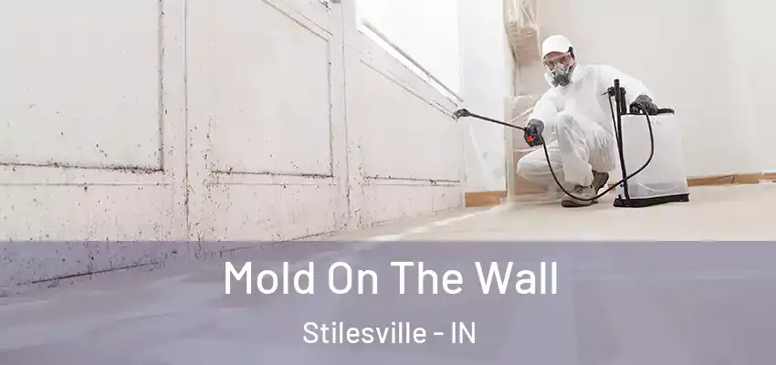  Mold On The Wall Stilesville - IN