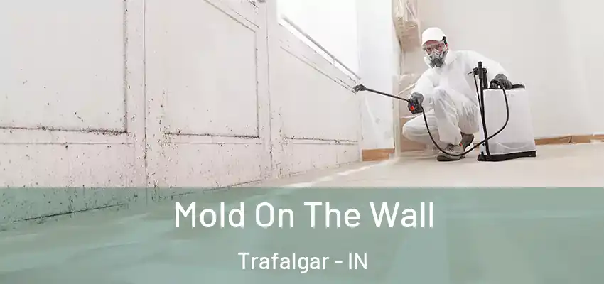  Mold On The Wall Trafalgar - IN