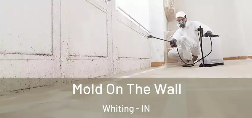  Mold On The Wall Whiting - IN