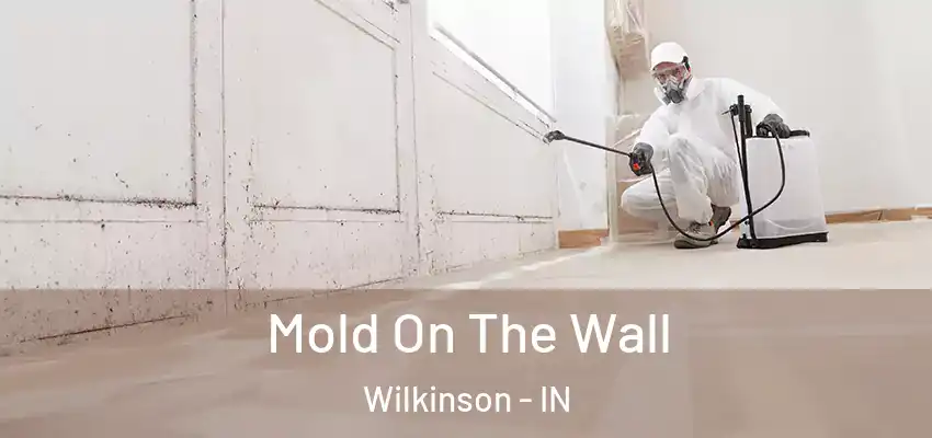  Mold On The Wall Wilkinson - IN