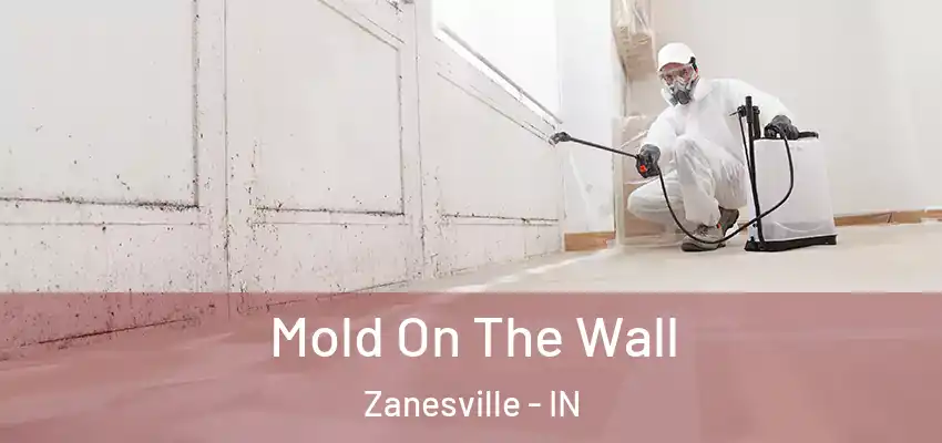  Mold On The Wall Zanesville - IN