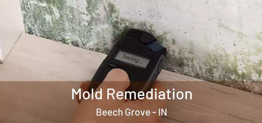  Mold Remediation Beech Grove - IN