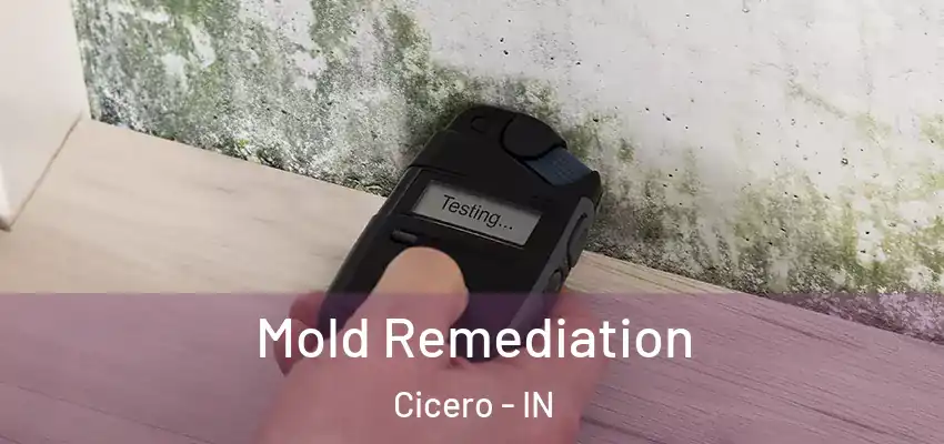  Mold Remediation Cicero - IN
