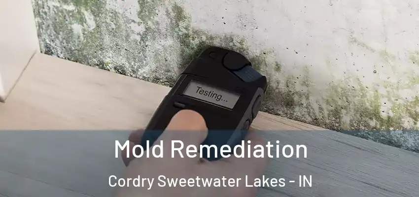 Mold Remediation Cordry Sweetwater Lakes - IN