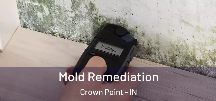  Mold Remediation Crown Point - IN