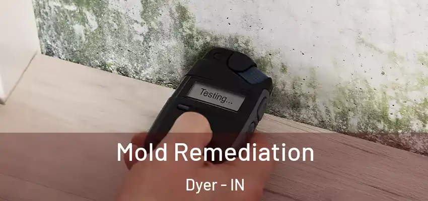  Mold Remediation Dyer - IN