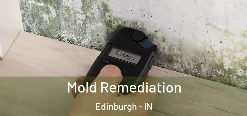  Mold Remediation Edinburgh - IN