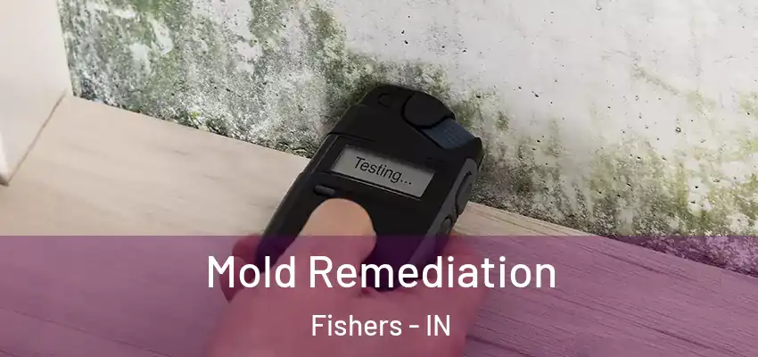  Mold Remediation Fishers - IN