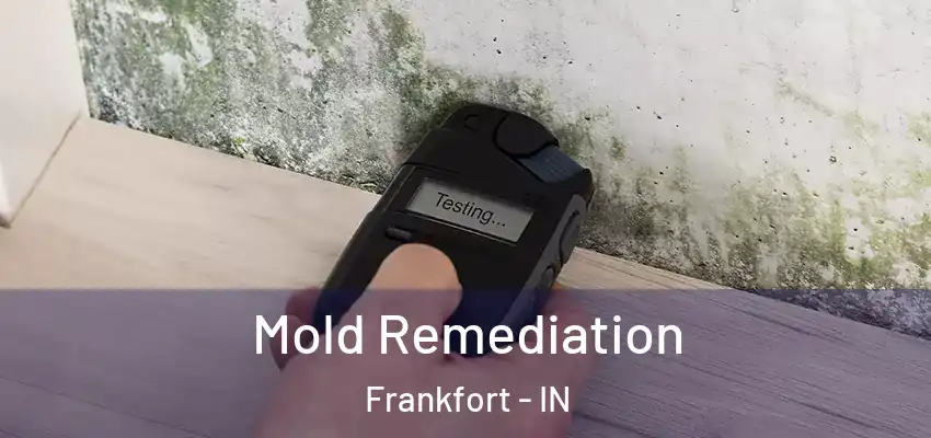 Mold Remediation Frankfort - IN